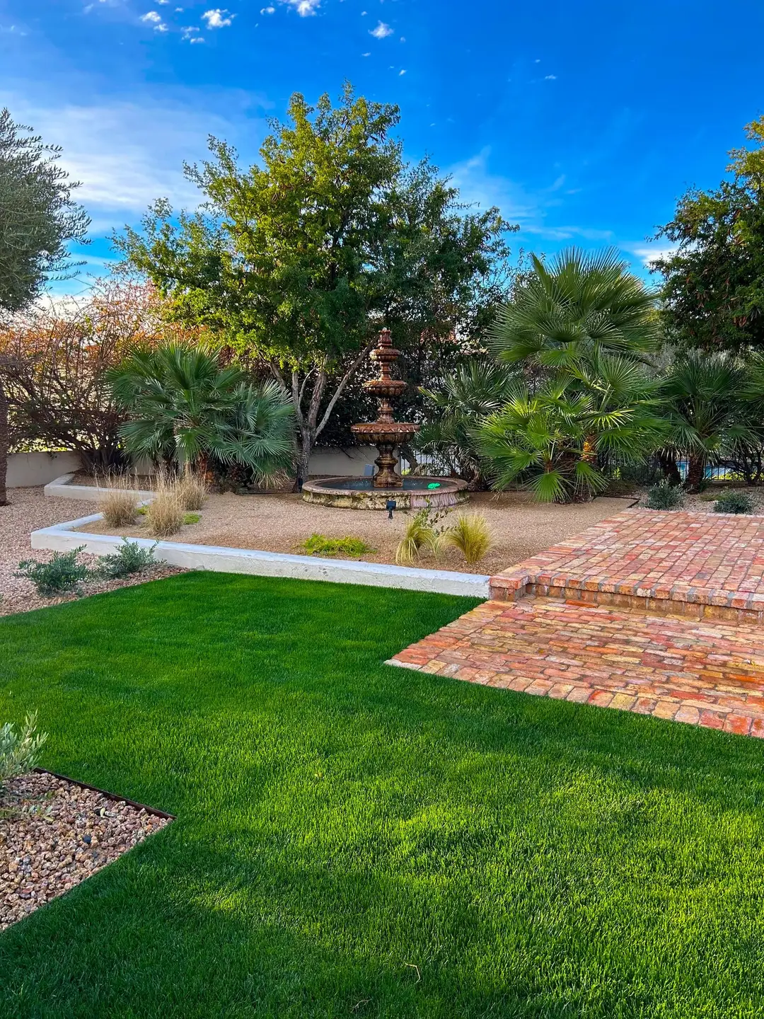 Green lawn area meeting a planted desert garden and walkway