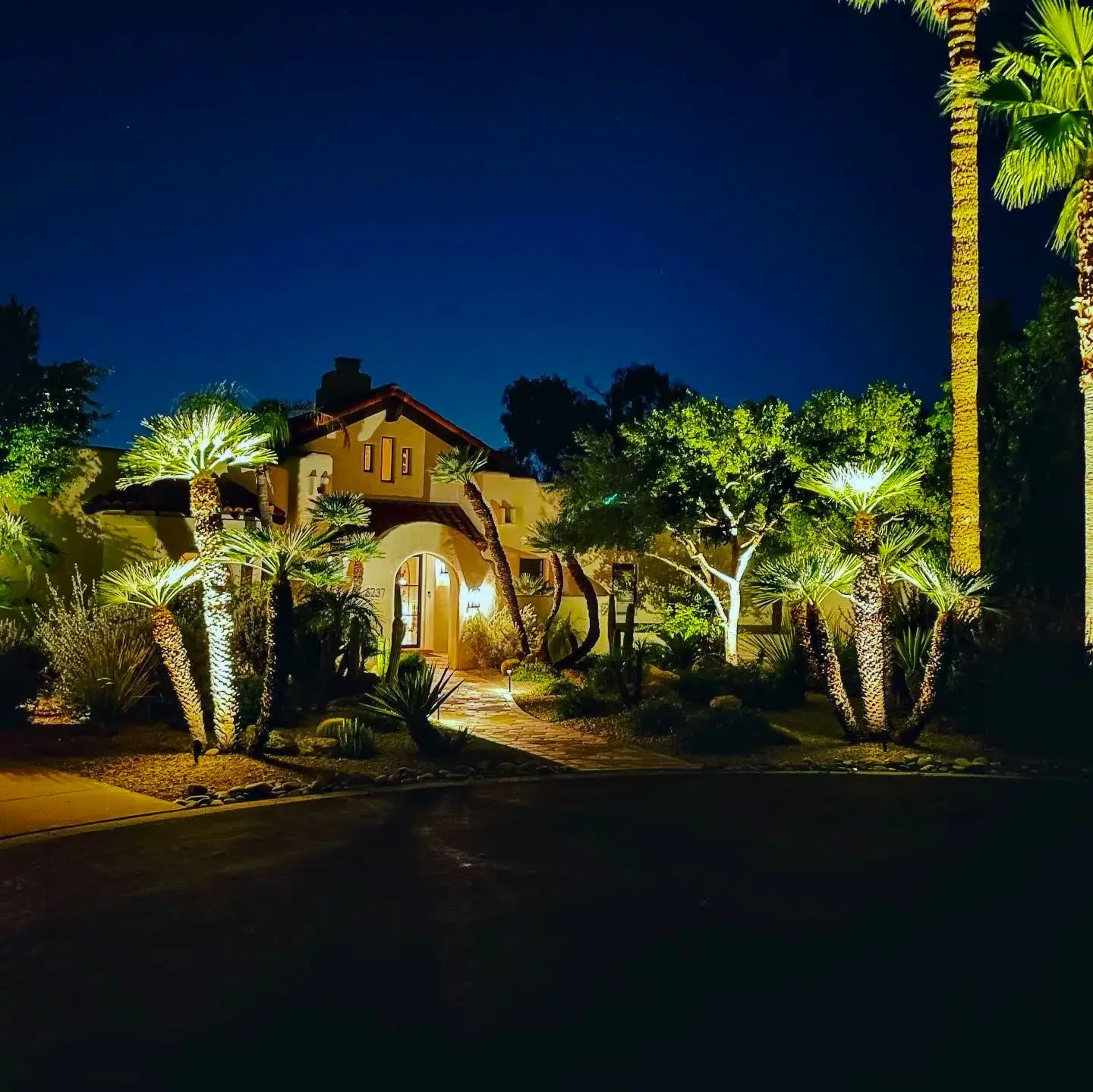 Landscape lighting illuminating an entryway and trees at night